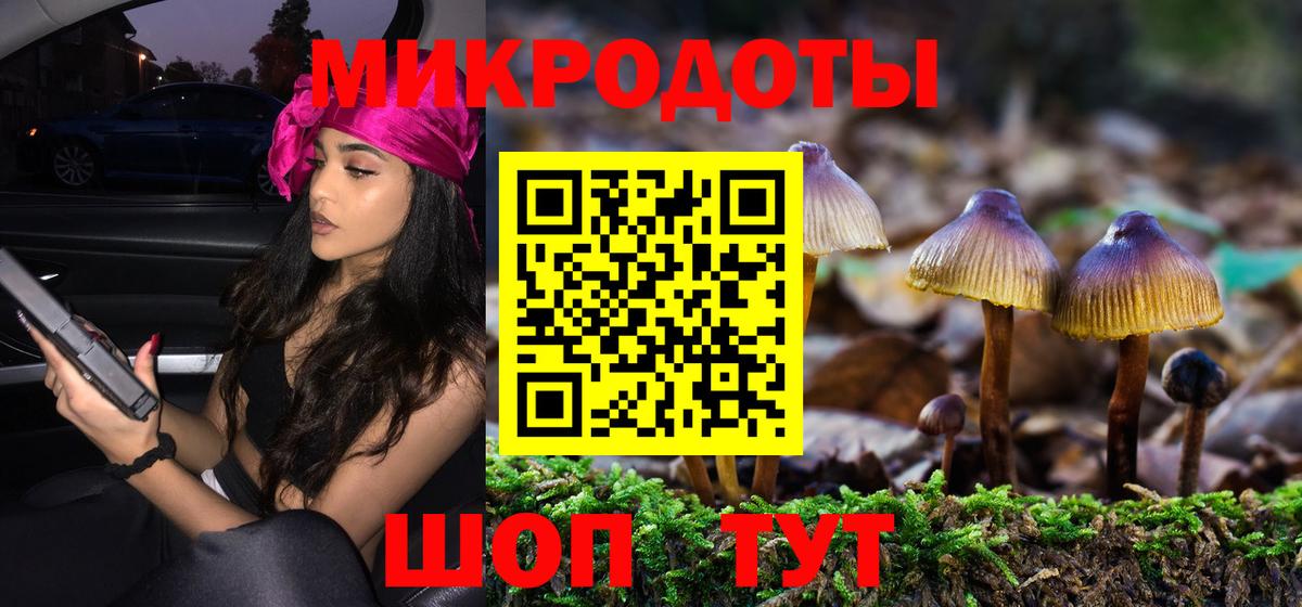 Аргун  Галлюциногенные грибы Psilocybe  Псилоцибиновые грибы Psilocybe  где продают наркотики  Вход с VPN 